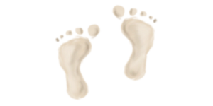 feet